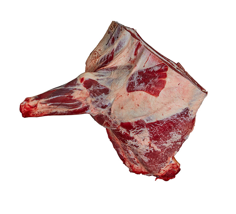 forequater beef2