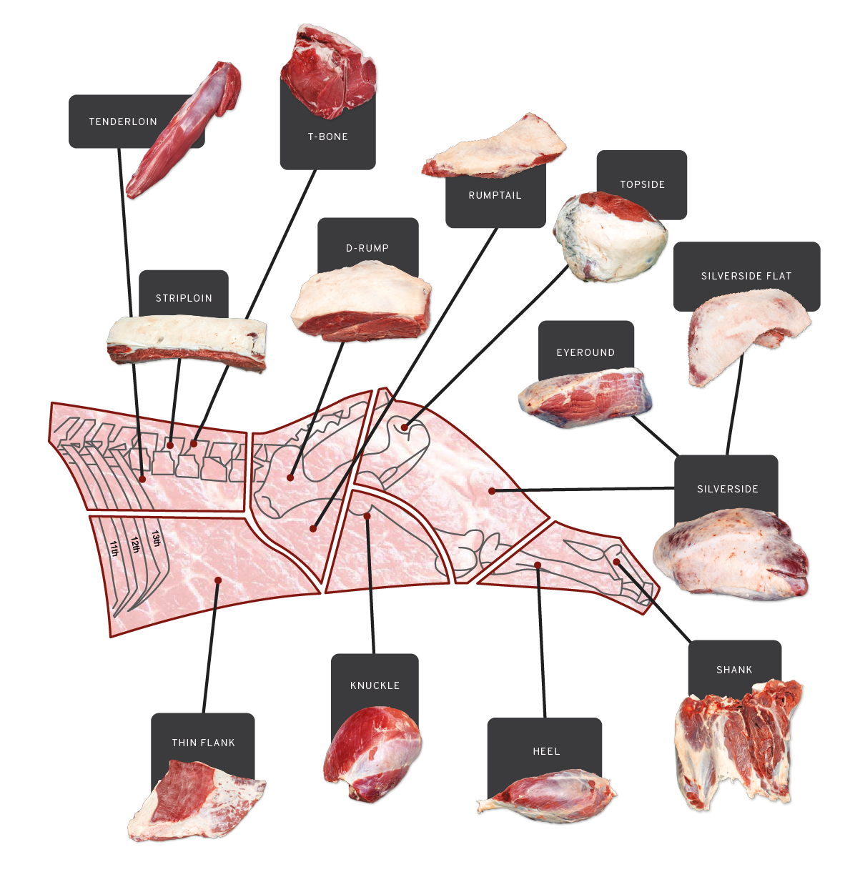 hindquarter